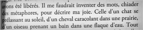 La Fouine - Drole de parcours - Le Livre